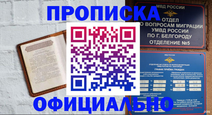 временная регистрация для школы в Домодедово