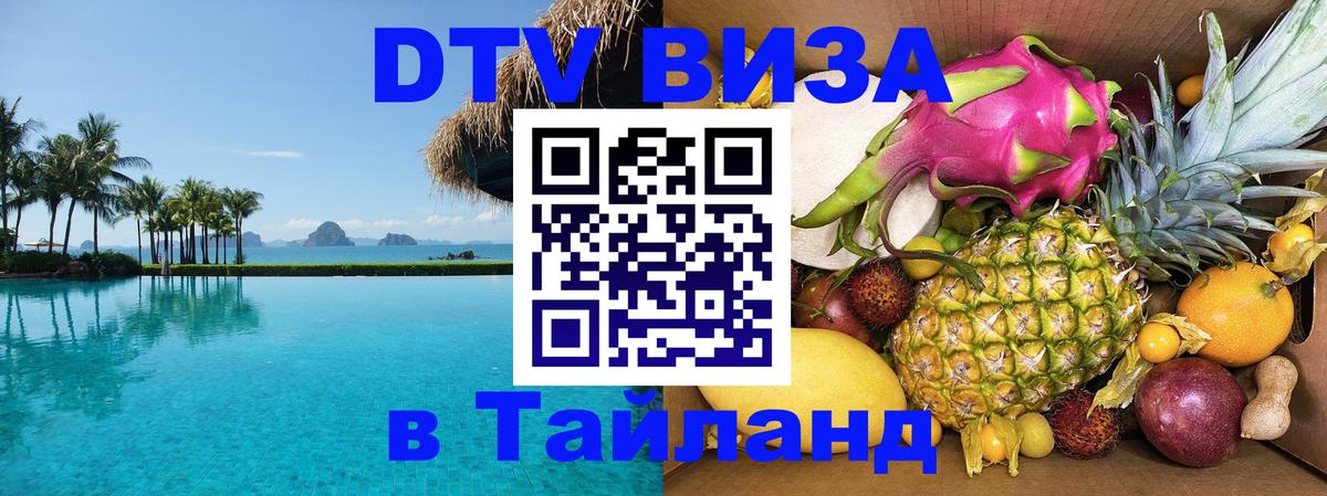 Оформление DTV визы под ключ: стоимость и тарифы, только загранпаспорт - Домодедово  05.10.2025 